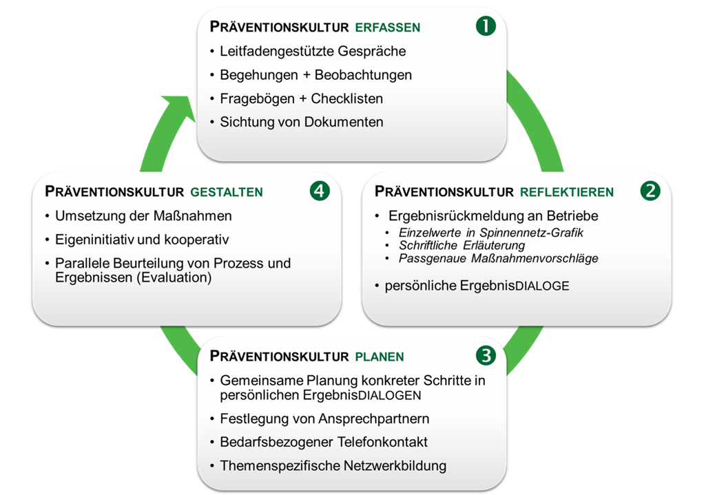 Ablauf des proSILWA-Beratungsprozesses